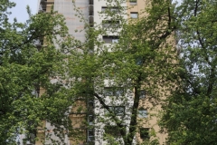 DSCN2877